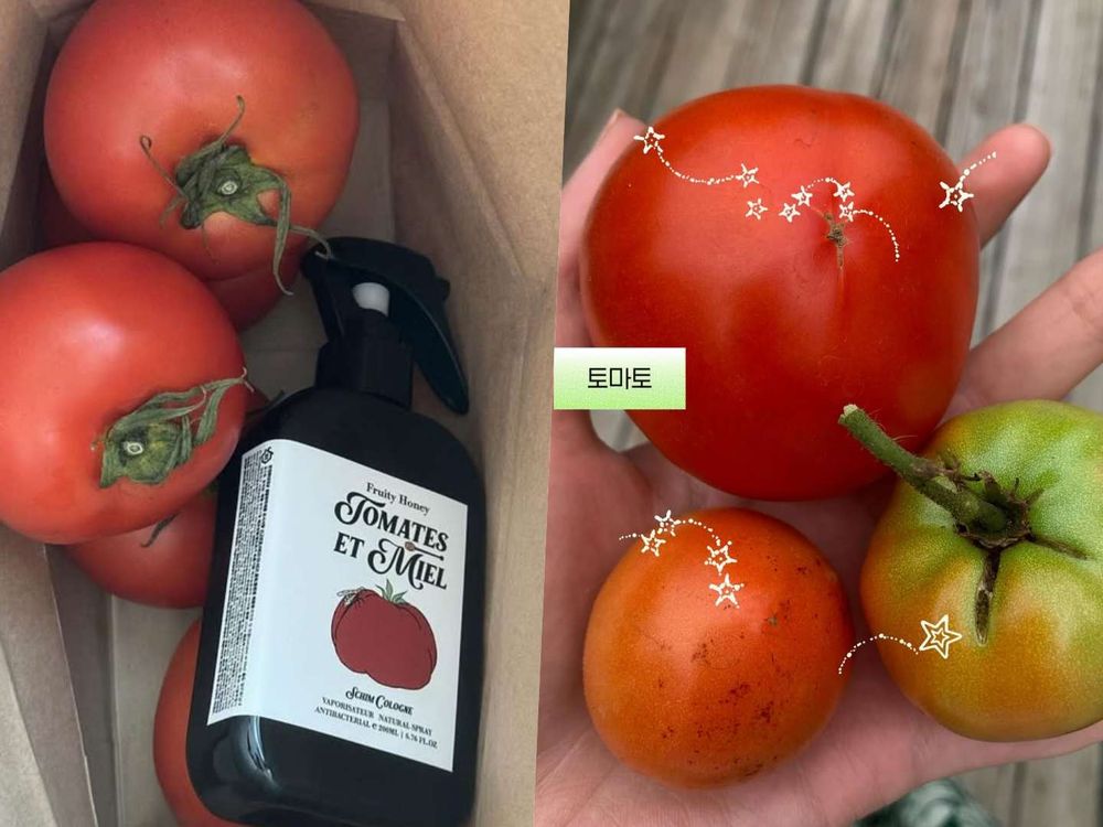 韓國女生最近瘋這個！韓國小眾香氛「織品空間噴霧」草莓、山竹美食香調，新品奶油柑橘香髮乳也被搶空、代購一補貨秒賣完！-3