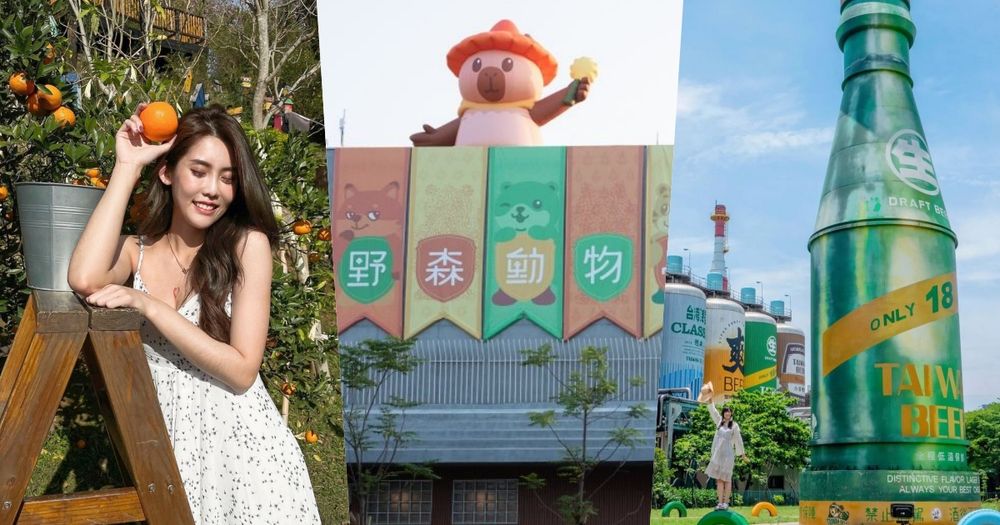 2026中南部走春景點推薦！苗栗橙香森林橘子園美翻、高雄最新動物園區可以跟樹懶近距離接觸！-1