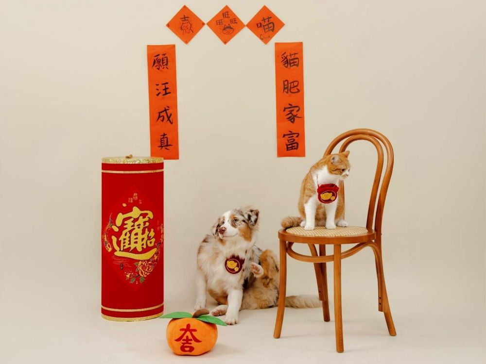 毛孩爸媽大掃除前必買！臭味滾貼心推「寵物用餐盤洗潔精、除臭噴霧」讓毛寶貝也能乾淨迎好運！-3