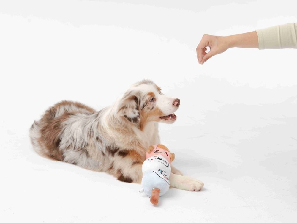 毛孩爸媽大掃除前必買！臭味滾貼心推「寵物用餐盤洗潔精、除臭噴霧」讓毛寶貝也能乾淨迎好運！-1