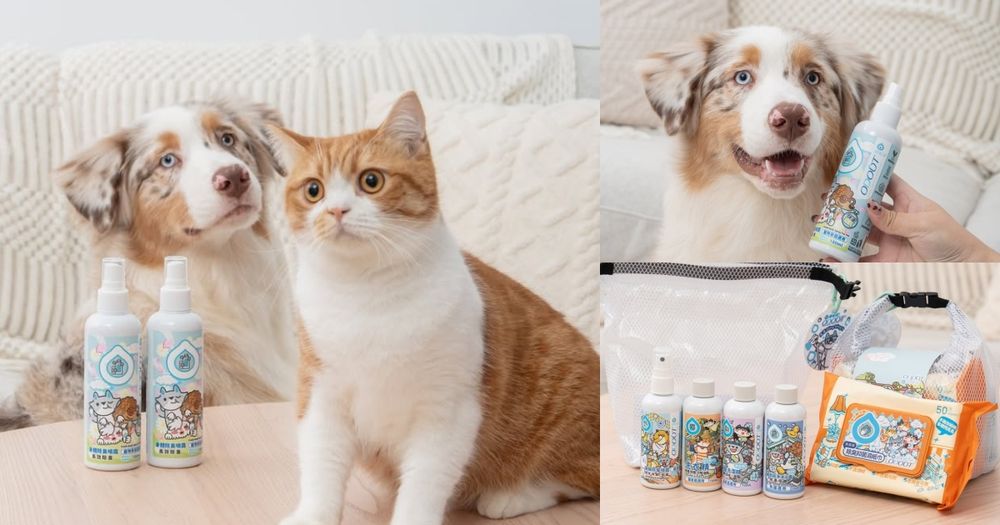 毛孩爸媽大掃除前必買！臭味滾貼心推「寵物用餐盤洗潔精、除臭噴霧」讓毛寶貝也能乾淨迎好運！-5