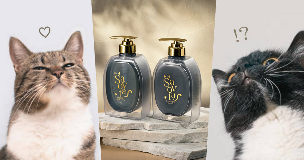 貓奴直接失控！日本爆紅「貓大麻洗髮精」登場，貓草×木天蓼香氣太犯規，貓大爺再也不傲嬌、只想整天黏著你！-1