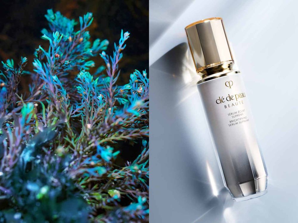 2026最強美白新品特輯公開！POLA、肌膚之鑰、雅詩蘭黛集體放大招，從擊退暗沉到養出透光感、今年真的白得很高級！-8