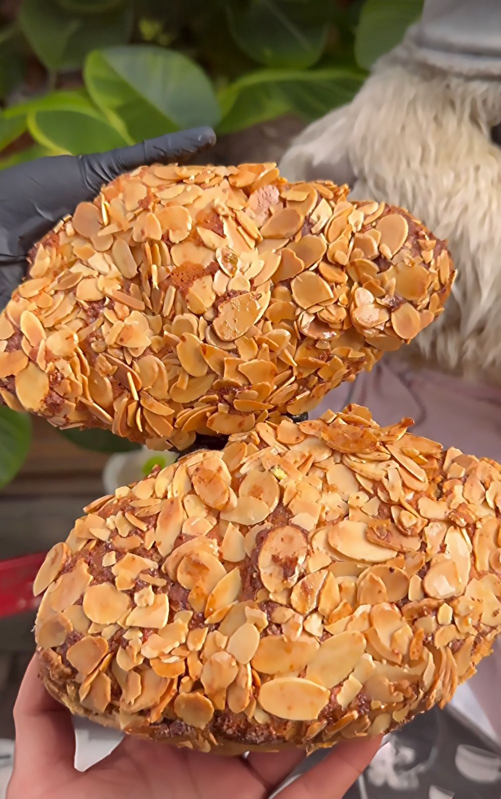 韓國首爾可頌名店Teddy Beurre House來了！爆療癒「杜拜巧克力可頌、焦糖奶油酥」這天登台！-5