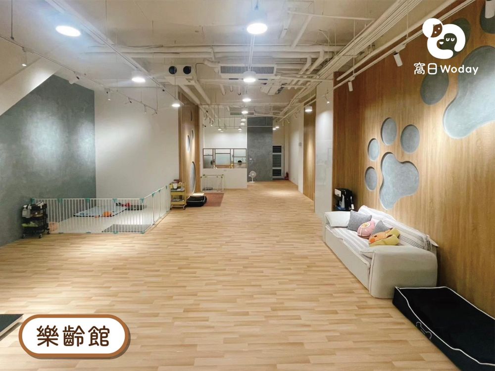 2026台北3大寵物旅館推薦！潘慧如「3天2夜旅館」對老狗超友善、這間按體型分區讓主人超安心！-2