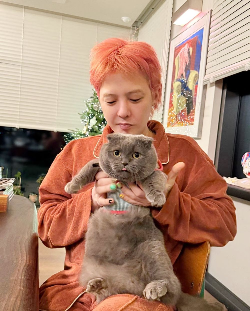 2026台北3大寵物旅館推薦！潘慧如「3天2夜旅館」對老狗超友善、這間按體型分區讓主人超安心！-6