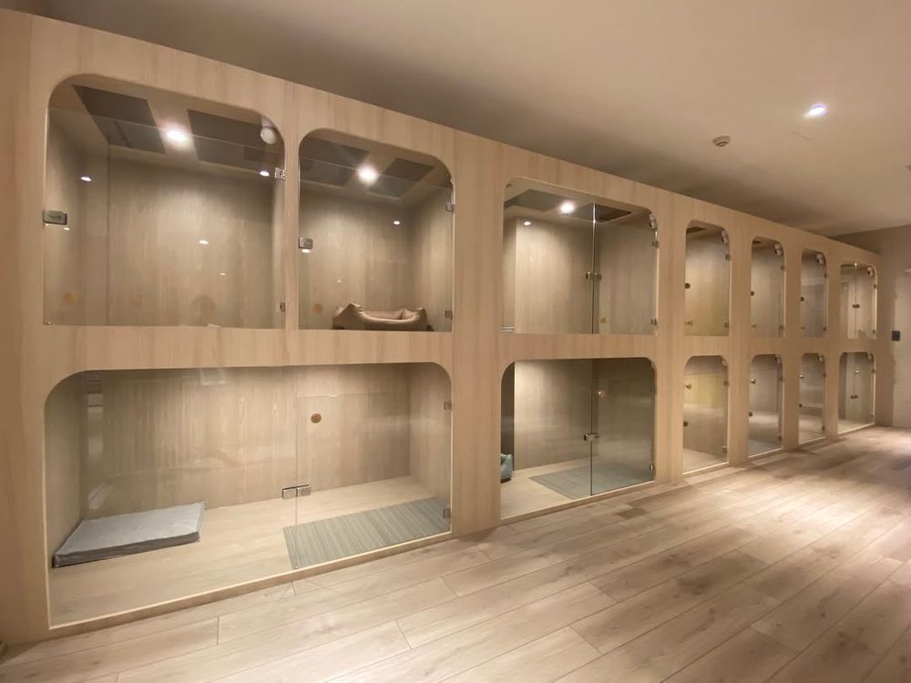 2026台北3大寵物旅館推薦！潘慧如「3天2夜旅館」對老狗超友善、這間按體型分區讓主人超安心！-9