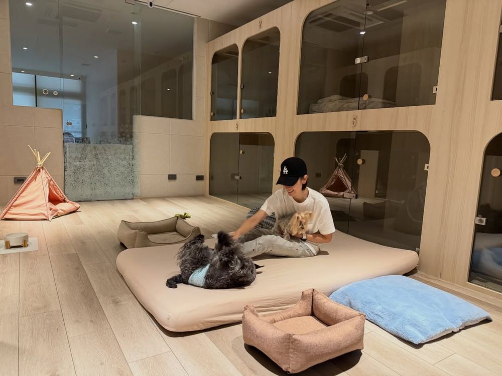 2026台北3大寵物旅館推薦！潘慧如「3天2夜旅館」對老狗超友善、這間按體型分區讓主人超安心！-12