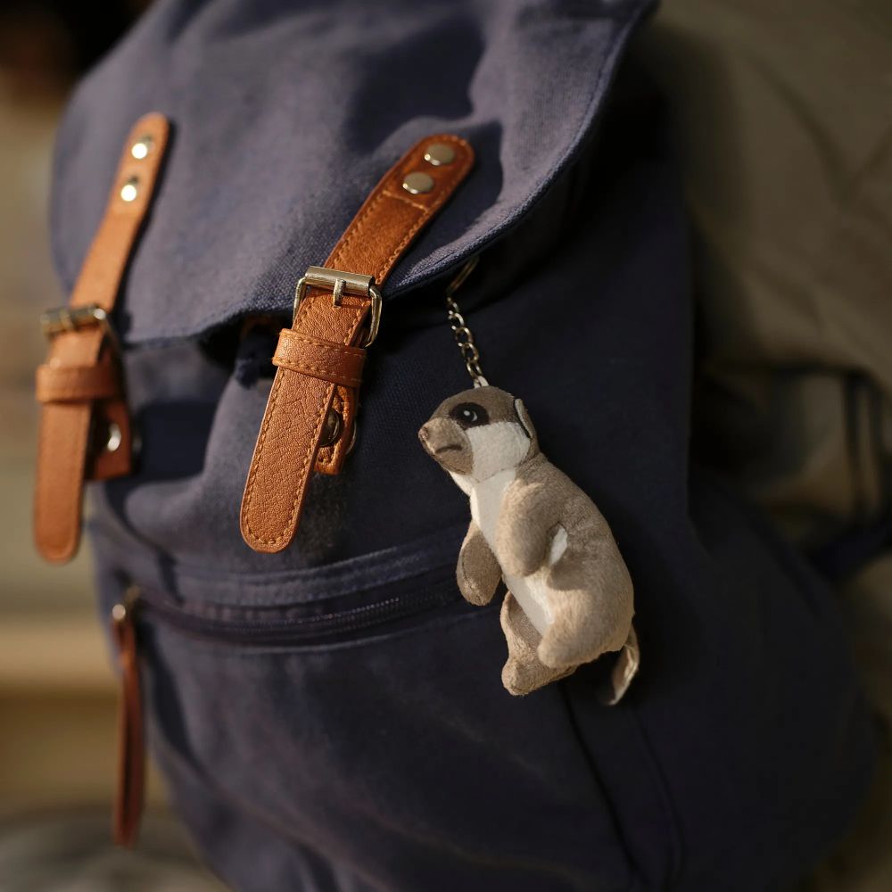 雲端姨姨們都在關注！日本小猴寶寶Panchi爆紅、從小被棄養靠「這隻」IKEA玩偶媽媽陪伴！-12