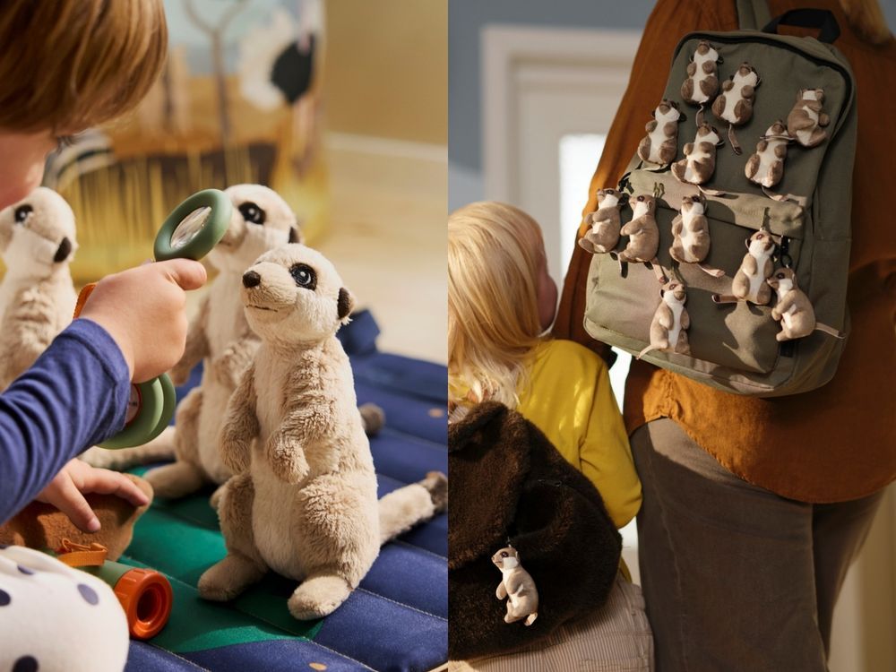 雲端姨姨們都在關注！日本小猴寶寶Panchi爆紅、從小被棄養靠「這隻」IKEA玩偶媽媽陪伴！-13