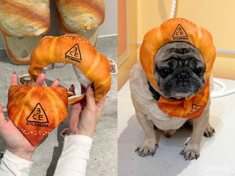 3CE改做寵物周邊？！攜手CRO#FEE打造寵物友善快閃店，體驗韓國賣翻「暖烤烘焙彩妝」、還送萌毛孩可頌頭套、領巾！-8