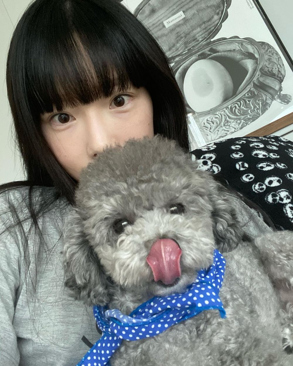 網評6位宅到出名的「棉被精靈」KPOP女偶像！Jisoo、IU不愛出門，宮脇咲良只想在家打電動！-3