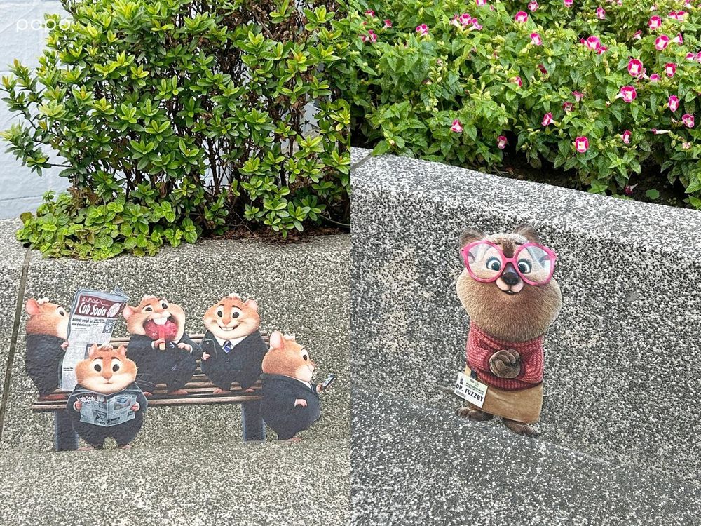 2025聖誕節必拍「動物方城市2聖誕樹」！雪白聖誕樹+狐狸紅綠燈太欠拍、新角色矮袋鼠也現身！-12