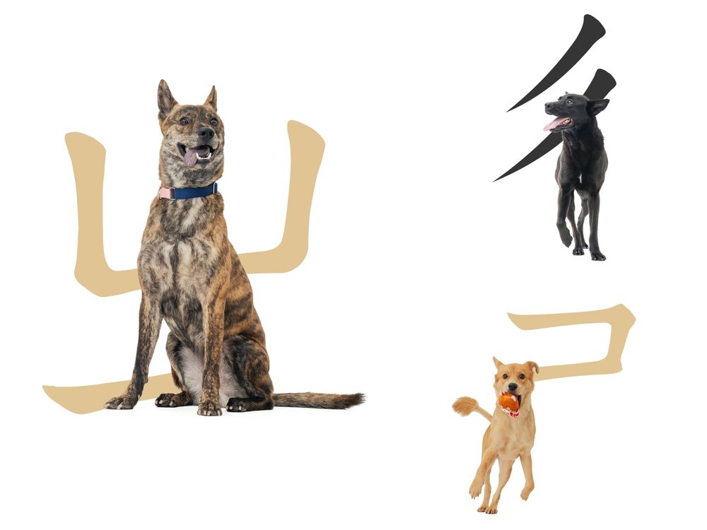 狗奴快下載！超萌《華康浪狗狗體2.0》把流浪狗化身實用注音&顏文字、「這裡」還能列印可愛小圖卡！-6