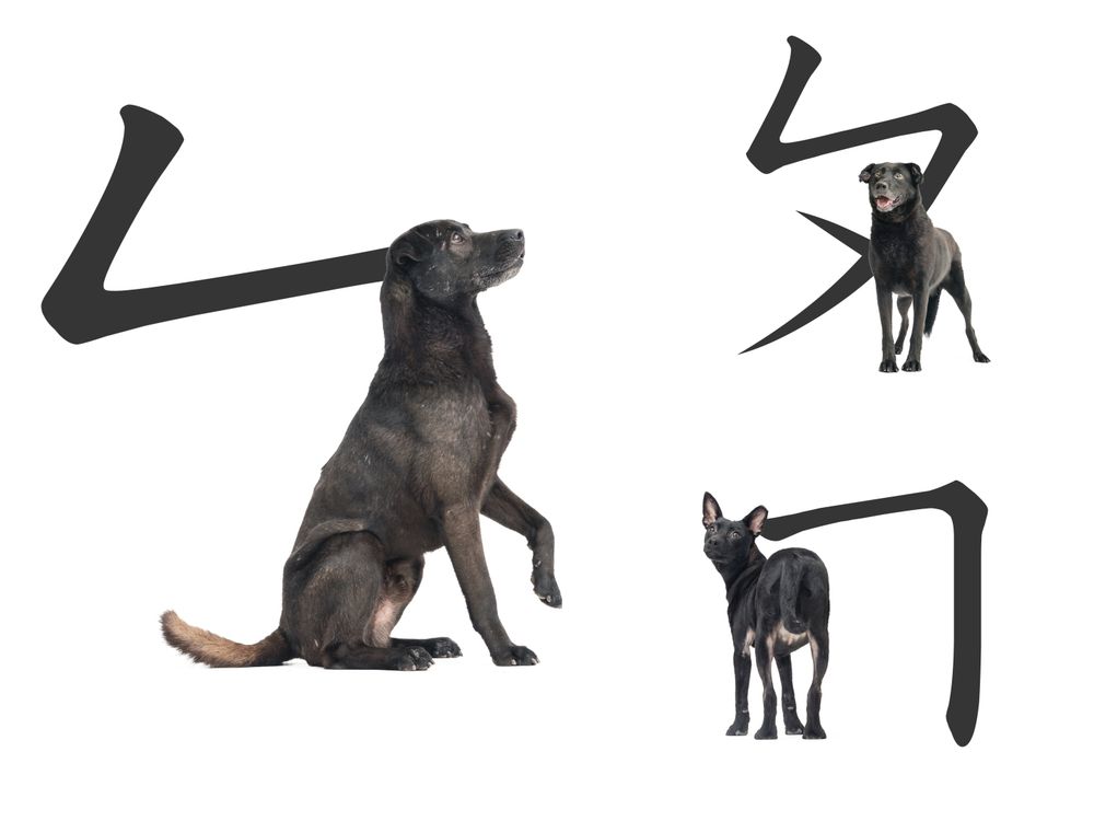 狗奴快下載！超萌《華康浪狗狗體2.0》把流浪狗化身實用注音&顏文字、「這裡」還能列印可愛小圖卡！-11