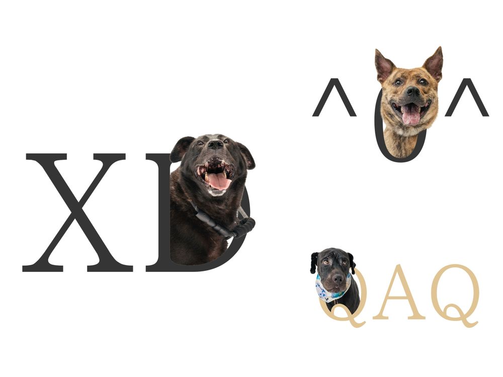 狗奴快下載！超萌《華康浪狗狗體2.0》把流浪狗化身實用注音&顏文字、「這裡」還能列印可愛小圖卡！-7