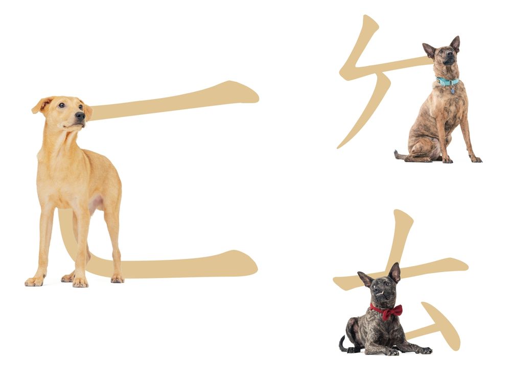 狗奴快下載！超萌《華康浪狗狗體2.0》把流浪狗化身實用注音&顏文字、「這裡」還能列印可愛小圖卡！-5