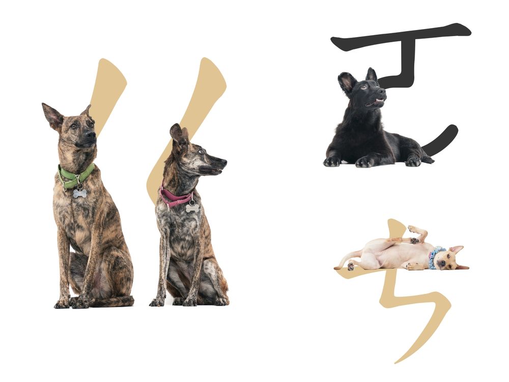 狗奴快下載！超萌《華康浪狗狗體2.0》把流浪狗化身實用注音&顏文字、「這裡」還能列印可愛小圖卡！-9