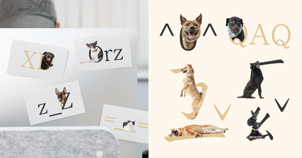 狗奴快下載！超萌《華康浪狗狗體2.0》把流浪狗化身實用注音&顏文字、「這裡」還能列印可愛小圖卡！-1