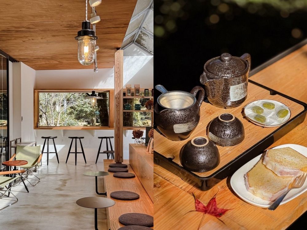 2025全台賞楓景點推薦！阿里山小笠原觀景台一片楓紅超夢幻、「這裡」除了楓葉還有落羽松拍起來美炸！-14