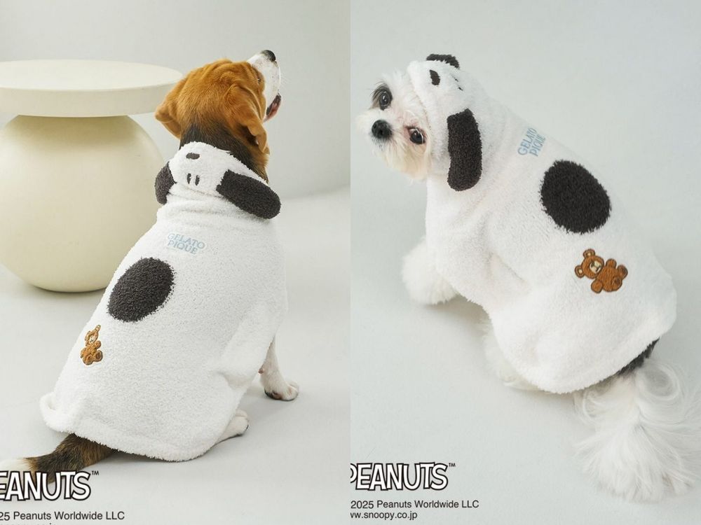 毛孩家長秒開錢包！gelato pique史努比聯名「寵物服飾」萌翻天！狗狗披風不買不行！-2