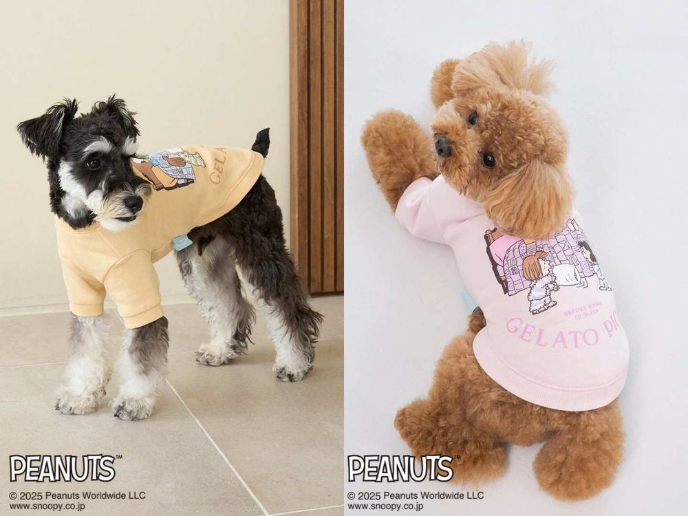 毛孩家長秒開錢包！gelato pique史努比聯名「寵物服飾」萌翻天！狗狗披風不買不行！-6