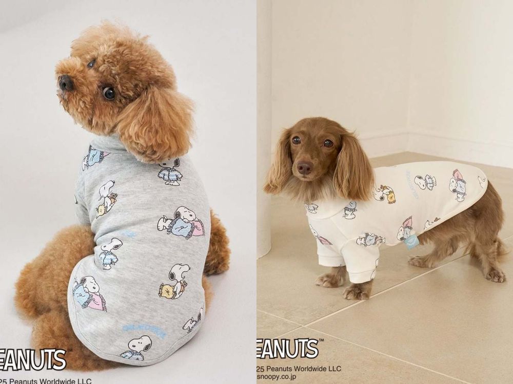 毛孩家長秒開錢包！gelato pique史努比聯名「寵物服飾」萌翻天！狗狗披風不買不行！-9