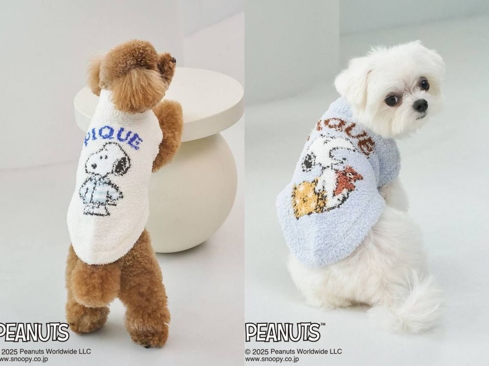 毛孩家長秒開錢包！gelato pique史努比聯名「寵物服飾」萌翻天！狗狗披風不買不行！-4