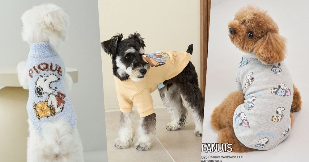 毛孩家長秒開錢包！gelato pique史努比聯名「寵物服飾」萌翻天！狗狗披風不買不行！-1