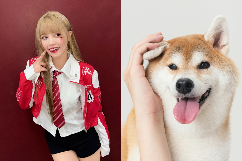 從浪LIVE直播到球場，「樂天音樂才女」黃禹菡和三隻小室友的甜蜜大直擊！-12