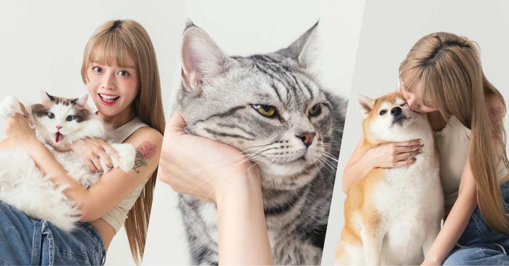 從浪LIVE直播到球場，「樂天音樂才女」黃禹菡和三隻小室友的甜蜜大直擊！-1