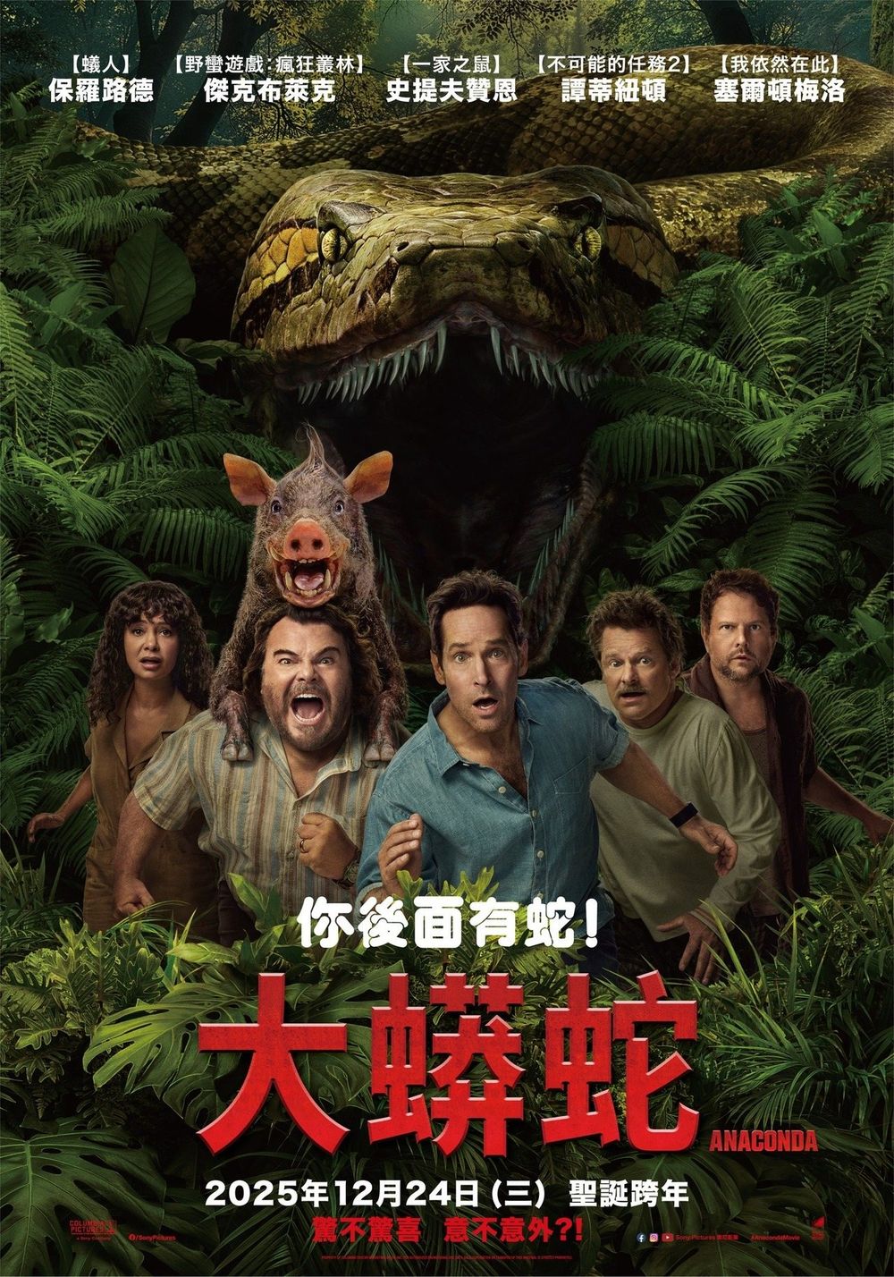 2025年12月上映電影片單推薦！《海綿寶寶電影版》聖誕節上映，《阿凡達3》《佛萊迪餐館2》續集回歸！-8