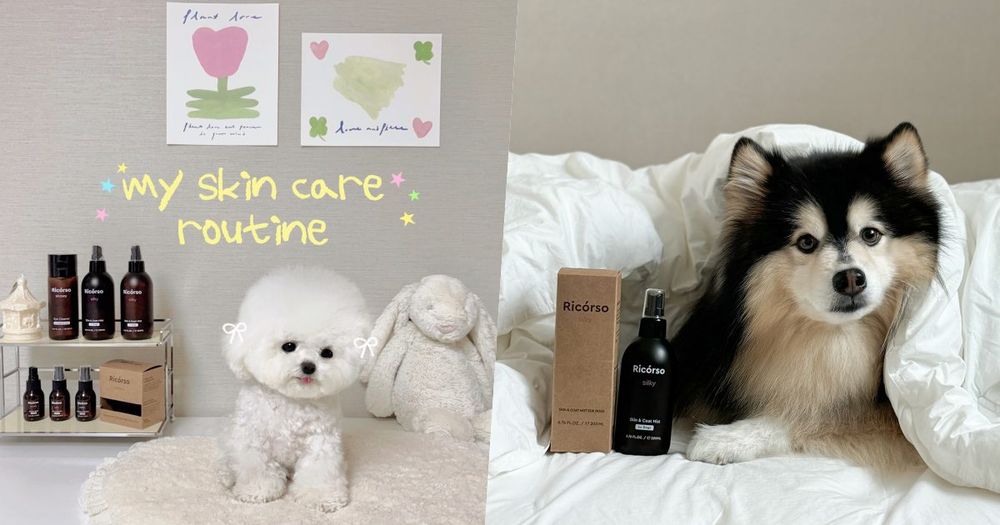 寵物界的Aesop！韓國頂級純素寵物保養Ricorso，給毛孩的第一款精品級呵護、貓狗日常直接升級一個檔次！-1