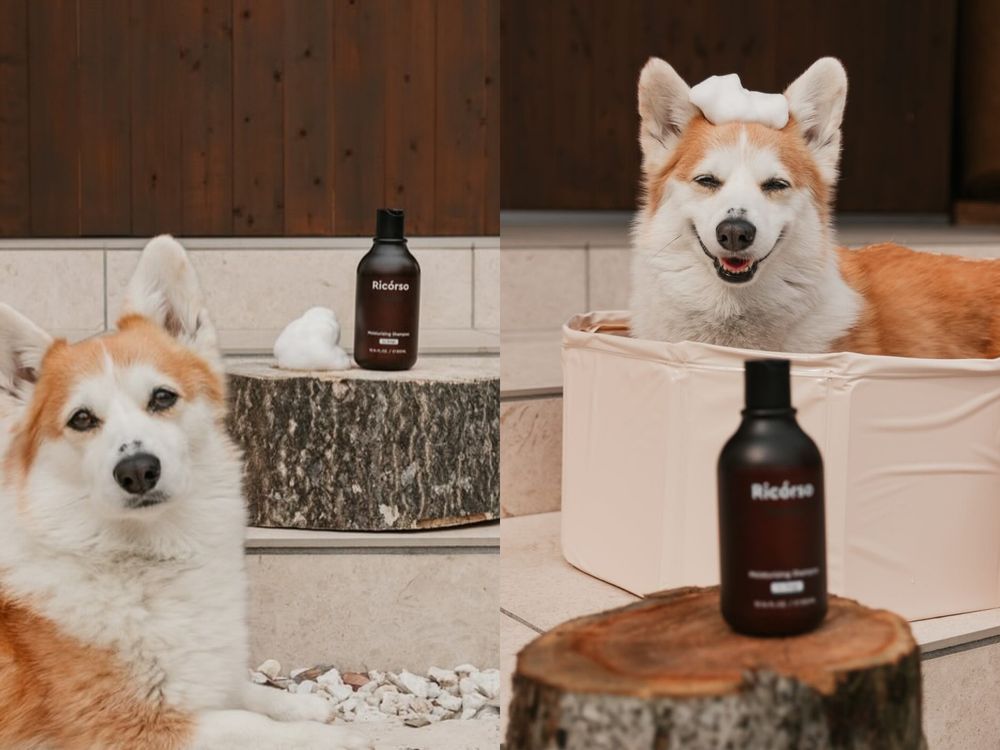 寵物界的Aesop！韓國頂級純素寵物保養Ricorso，給毛孩的第一款精品級呵護、貓狗日常直接升級一個檔次！-3