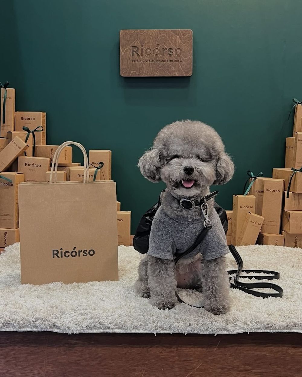 寵物界的Aesop！韓國頂級純素寵物保養Ricorso，給毛孩的第一款精品級呵護、貓狗日常直接升級一個檔次！-5
