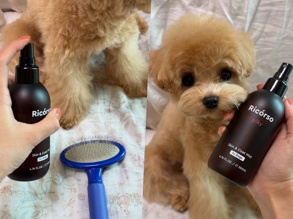 寵物界的Aesop！韓國頂級純素寵物保養Ricorso，給毛孩的第一款精品級呵護、貓狗日常直接升級一個檔次！-8