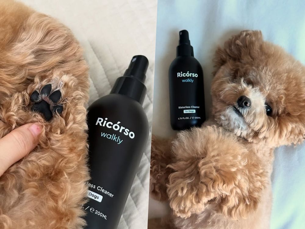 寵物界的Aesop！韓國頂級純素寵物保養Ricorso，給毛孩的第一款精品級呵護、貓狗日常直接升級一個檔次！-11