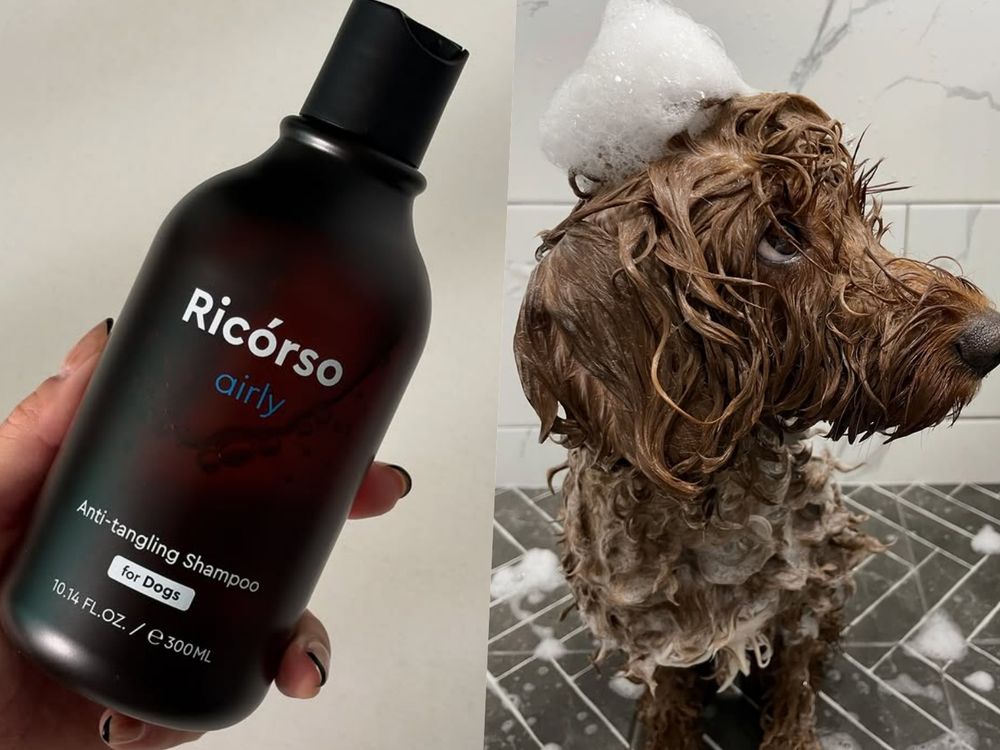 寵物界的Aesop！韓國頂級純素寵物保養Ricorso，給毛孩的第一款精品級呵護、貓狗日常直接升級一個檔次！-12