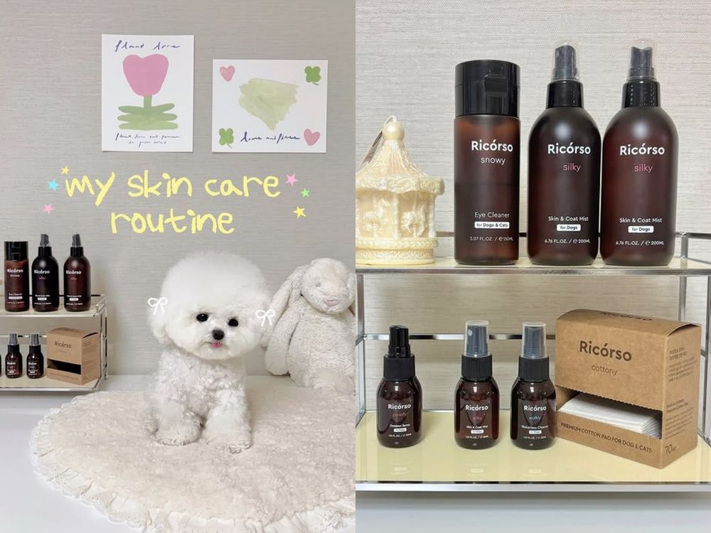 寵物界的Aesop！韓國頂級純素寵物保養Ricorso，給毛孩的第一款精品級呵護、貓狗日常直接升級一個檔次！-13