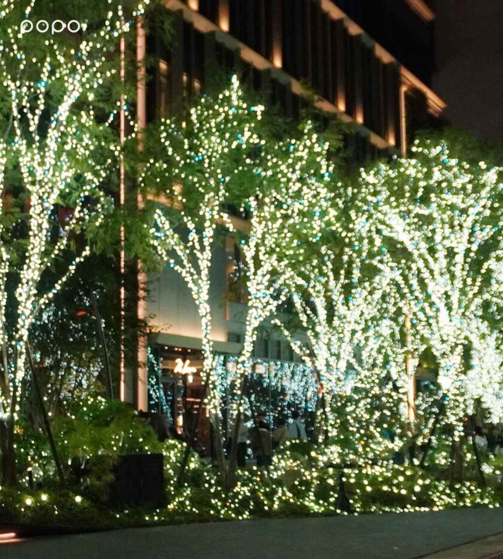 2025台中勤美草悟聖誕村來了！超夢幻「7公尺高飄雪聖誕樹、銀白森林光之道」必拍亮點一次看！-13