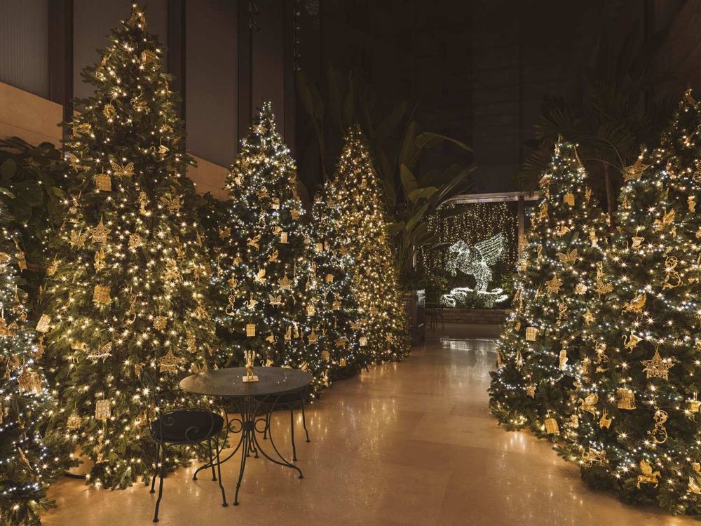  Dior聖誕禮物美瘋了！「淡金色老花卡夾、星星耳環」命中心坎、連聖誕包裝也美到捨不得丟！-17