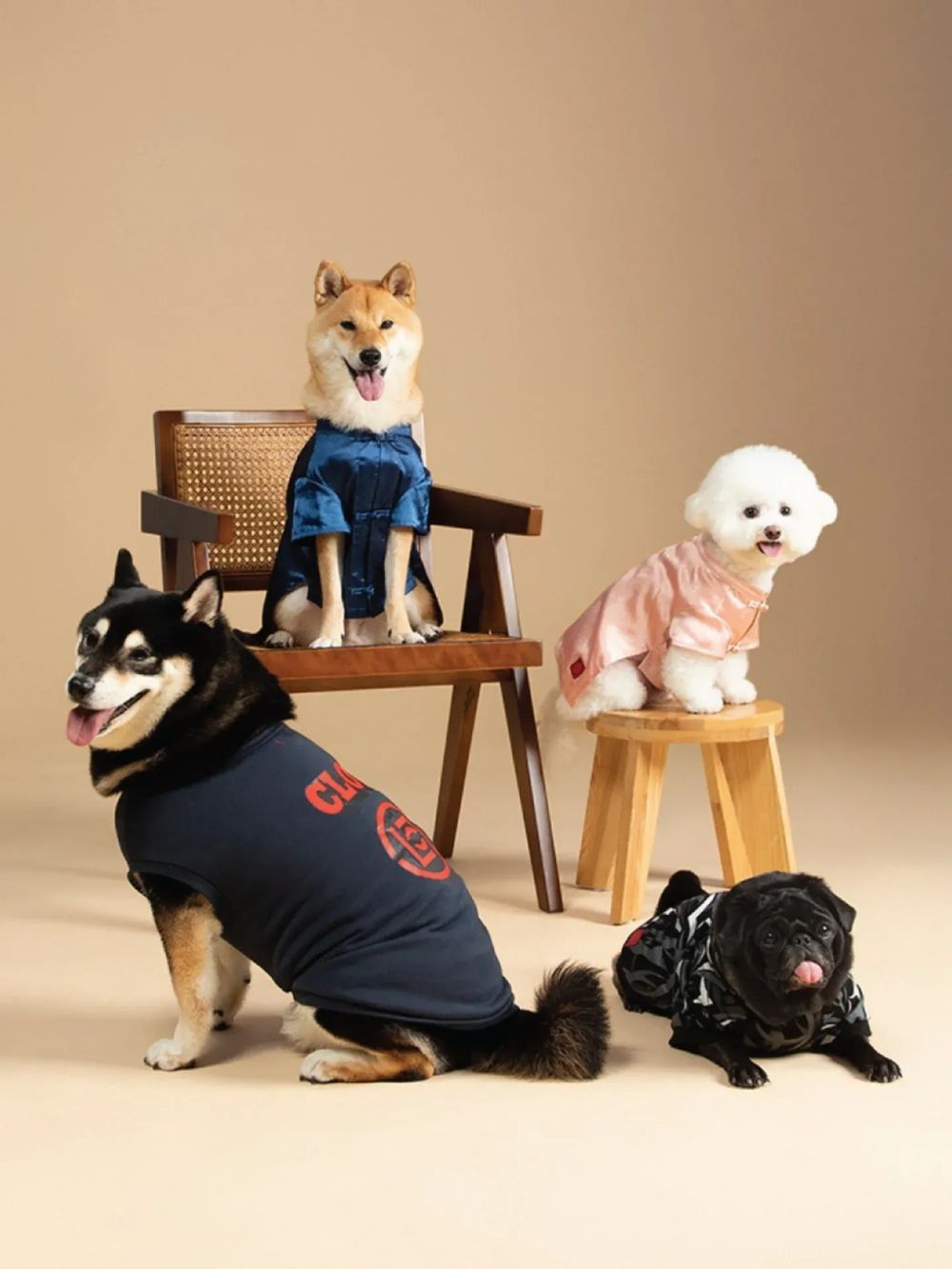 CLOT進軍毛孩時尚！全新「寵物系列」初登場！絲綢T恤、頭巾全都有，寶貝一秒變潮寵！-2