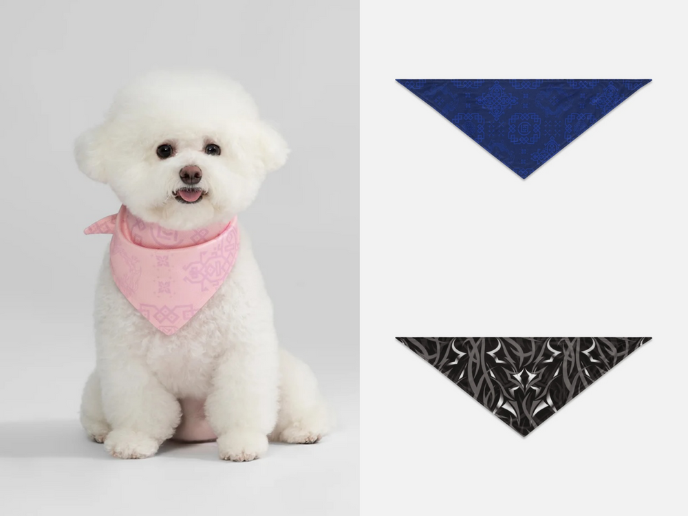 CLOT進軍毛孩時尚！全新「寵物系列」初登場！絲綢T恤、頭巾全都有，寶貝一秒變潮寵！-4