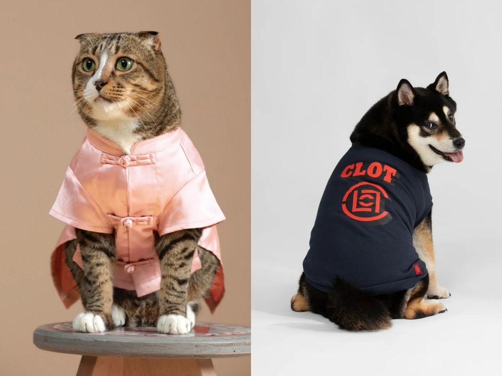 CLOT進軍毛孩時尚！全新「寵物系列」初登場！絲綢T恤、頭巾全都有，寶貝一秒變潮寵！-5