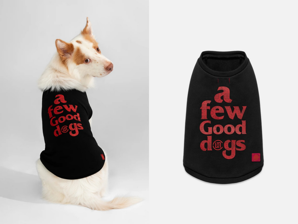 CLOT進軍毛孩時尚！全新「寵物系列」初登場！絲綢T恤、頭巾全都有，寶貝一秒變潮寵！-7