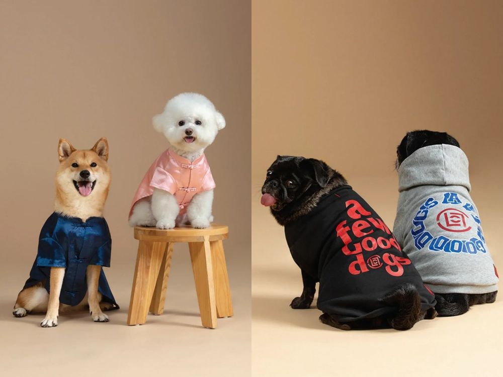 CLOT進軍毛孩時尚！全新「寵物系列」初登場！絲綢T恤、頭巾全都有，寶貝一秒變潮寵！-9