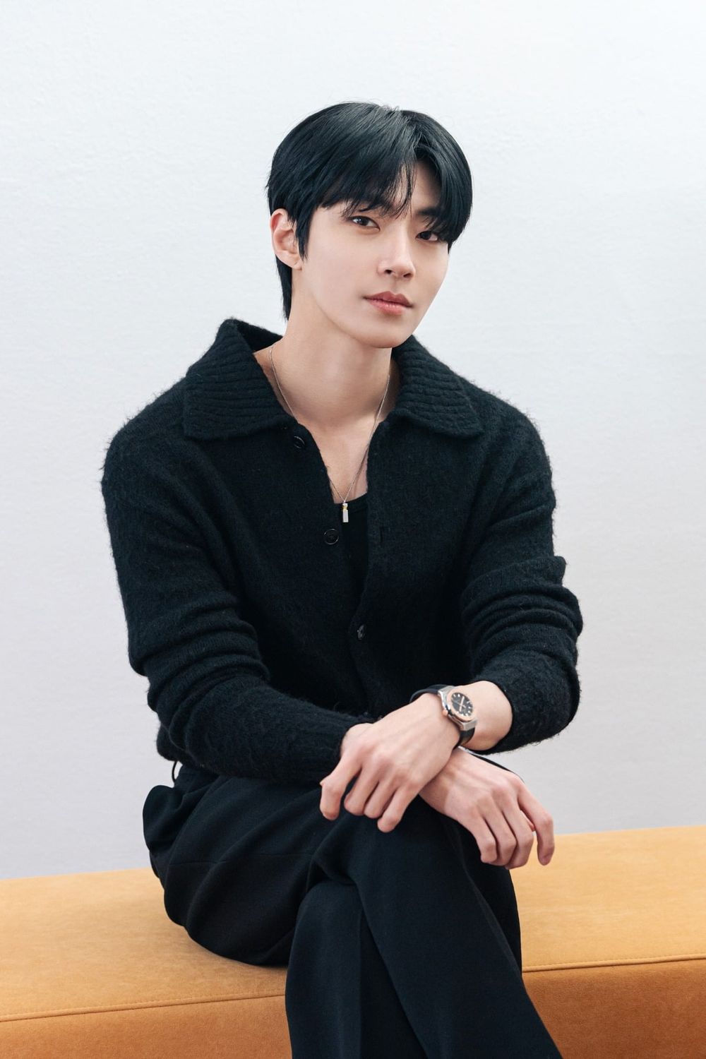 粉絲選角7位適合演真人版「狐狸尼克」的韓星！TXT然竣顏值太符合，防彈V、SKZ I.N呼聲超高！-13