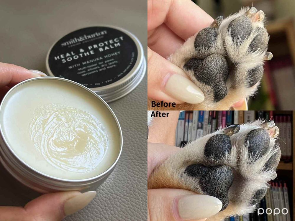 毛孩肉墊保養須知！肉球的功能＋三個主人必知養護重點，乾裂粗糙不見、輕鬆守護貓狗的粉嫩嫩肉球！-3