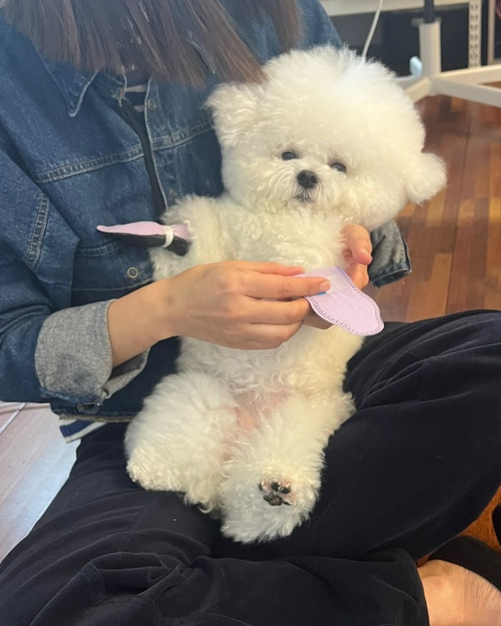 毛孩肉墊保養須知！肉球的功能＋三個主人必知養護重點，乾裂粗糙不見、輕鬆守護貓狗的粉嫩嫩肉球！-7