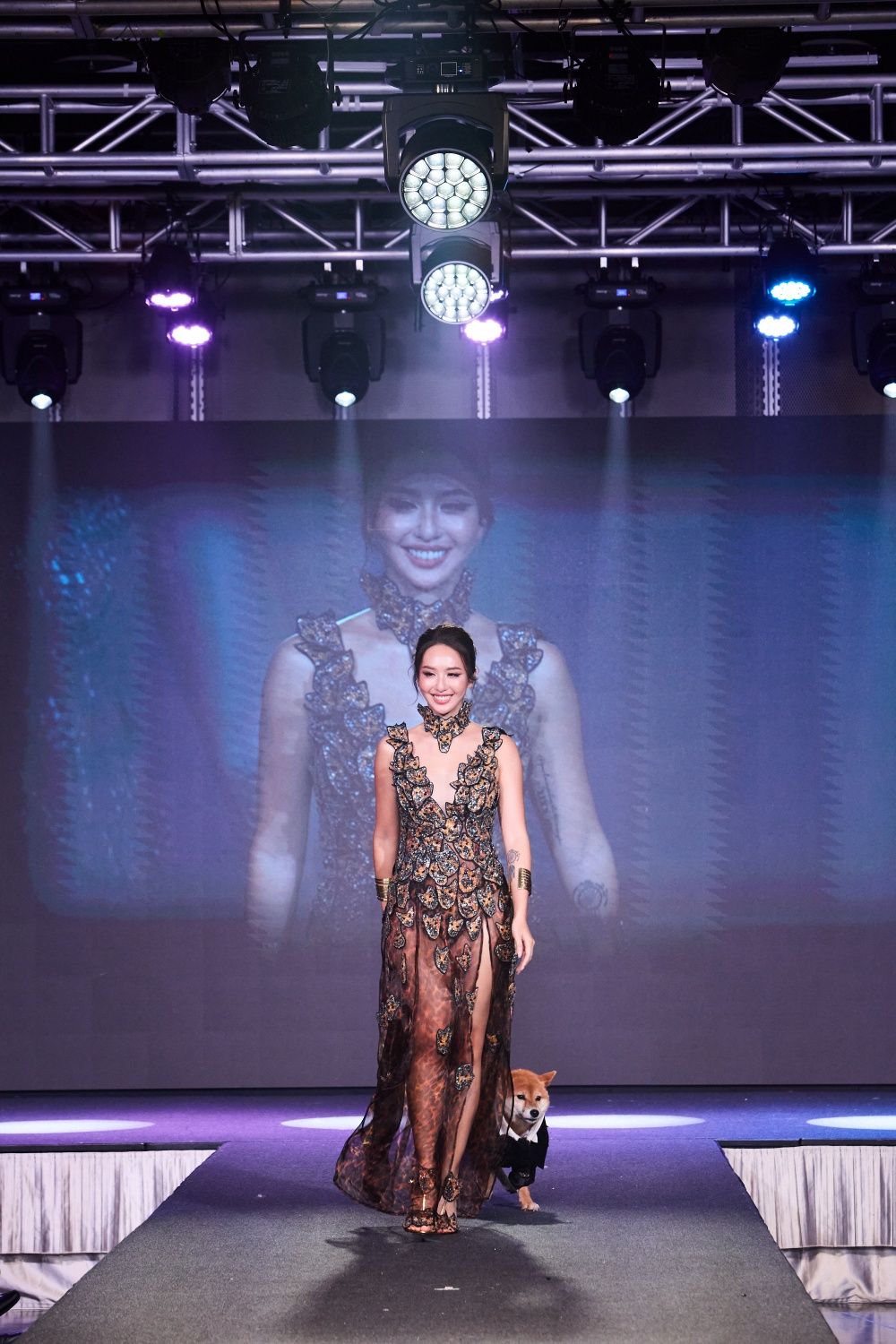 萌度炸裂！臺北萌寵時裝週登場！薔薔豹紋性感亮相、多隻浪浪變身T台小模...可愛爆棚！-4